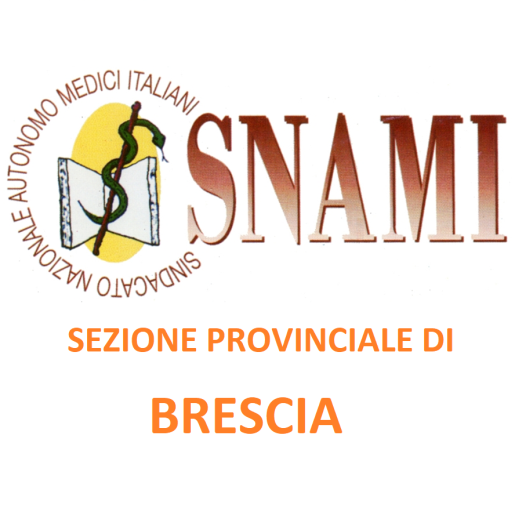 Icona SNAMI 512x512